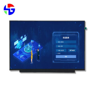 17.3 inch TFT LCD Module, Sunlight Readable, 1920x1080, eDP Interface (6)